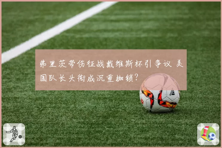 弗里茨带伤征战戴维斯杯引争议 美国队长头衔成沉重枷锁？